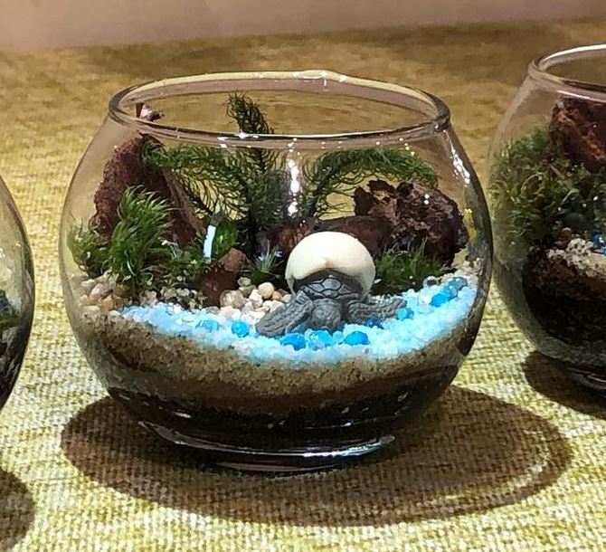 Keittooppi 夏の海を作ってみよう 苔テラリウムワークショップ Keitto ケイット